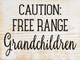 Caution: Free Range Grandchildren