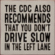 The CDC Also Recommends That You Don't Drive Slow In The Left Lane |Funny Wood  Sign| Sawdust City Wholesale Signs