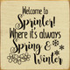 Welcome To Sprinter! Where It's Always Spring & Winter