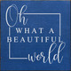 Oh What A Beautiful World | Inspirational Wooden Signs | Sawdust City Wood Signs Wholesale