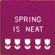 Spring is neat | Wooden Seasonal Signs | Sawdust City Wood Signs Wholesale