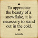 "To appreciate the beauty of a snowflake, it is necessary to stand out in the cold." Aristotle