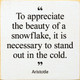 "To appreciate the beauty of a snowflake, it is necessary to stand out in the cold." Aristotle
