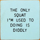 The Only Squat I'm Used to Doing Is Diddly | Funny Wood Signs | Sawdust City Wood Signs Wholesale