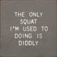 The Only Squat I'm Used to Doing Is Diddly | Funny Wood Signs | Sawdust City Wood Signs Wholesale