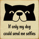 If Only My Dog Could Send Me Selfies  | Wooden Dog Signs | Sawdust City Wood Signs Wholesale