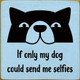 If Only My Dog Could Send Me Selfies  | Wooden Dog Signs | Sawdust City Wood Signs Wholesale