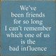 We've Been Friends For So Long I Can't Remember Which One... | Funny Wood Signs | Sawdust City Wood Signs Wholesale