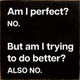 Funny Wholesale Sign: Am I perfect? No. But am I trying to do better? Also no.