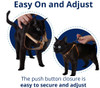 Cat harness slips on and fastens with the push of a buttton