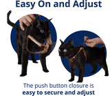 VIDEO: How to put on and adjust The OutBound Cat Harness