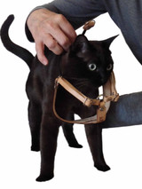 How to Put on and Adjust the OutBound Cat Harness™ - Cat About