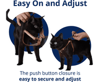 VIDEO: How to put on and adjust The OutBound Cat Harness