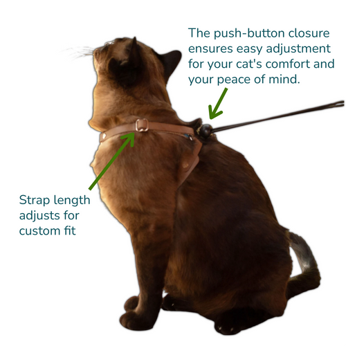 OutBound Cat Harness™ - for Small Cats and Kittens