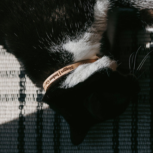 Personalized Leather Cat ID Collar - Custom Fit for Comfort Personalized Leather Cat ID Collar - Custom Fit for Comfort