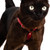 Raspberry Leather Cat Harness