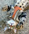 Escape Proof Harness for Small Cats & Kittens