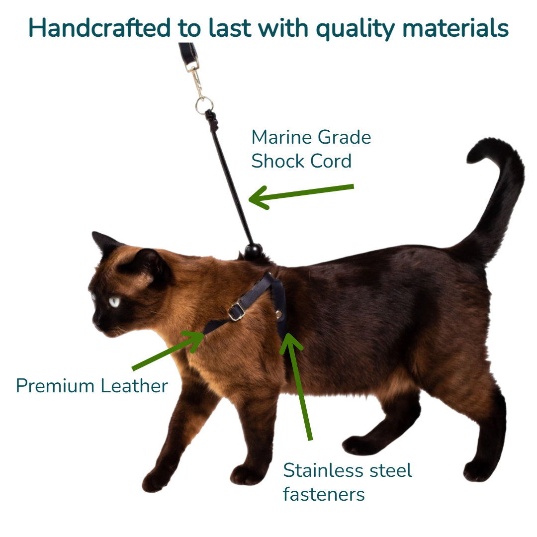 OutBound Cat Harness & Leash Set Black XS Under 10.75