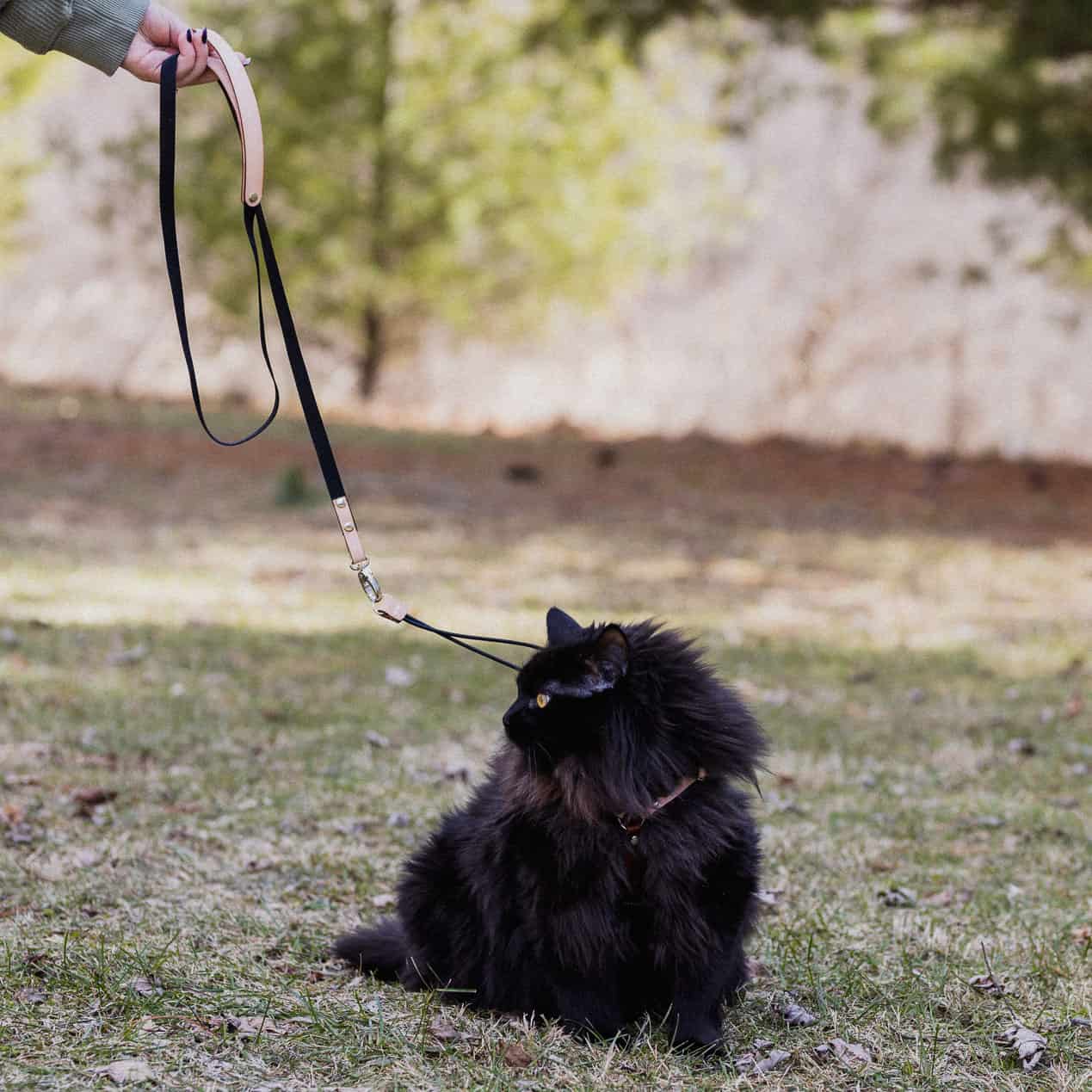 OutBound Cat Harness & Leash Set Black Medium 14-16