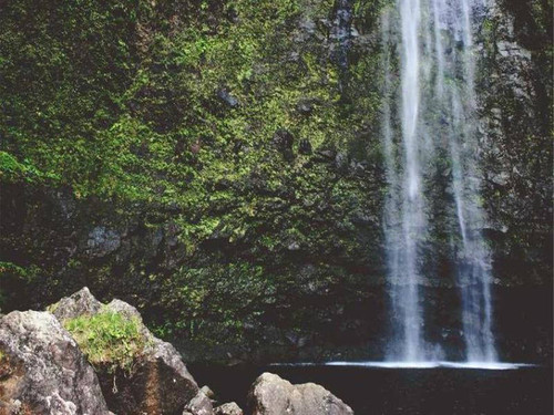 11-product-main_image