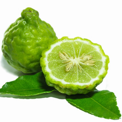 Bergamot