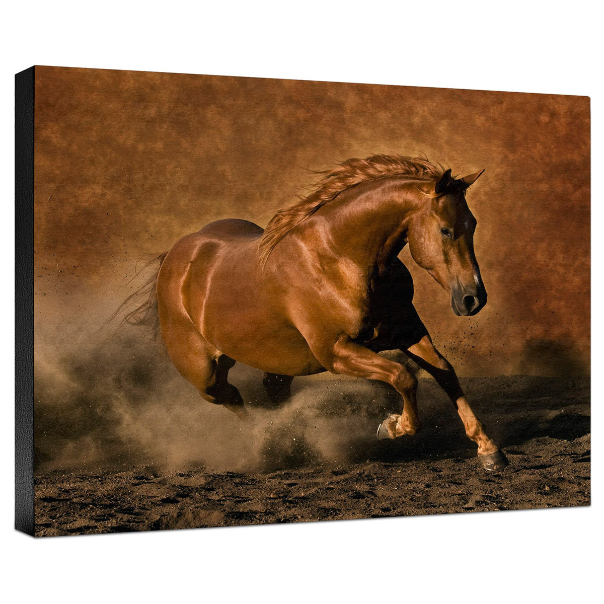 Canyon de Chelly National Monument Wall : Prints, Paintings & Posters