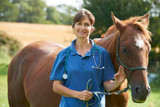 Choke In Horses: Treatment And Prevention