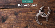 All About Horseshoes!