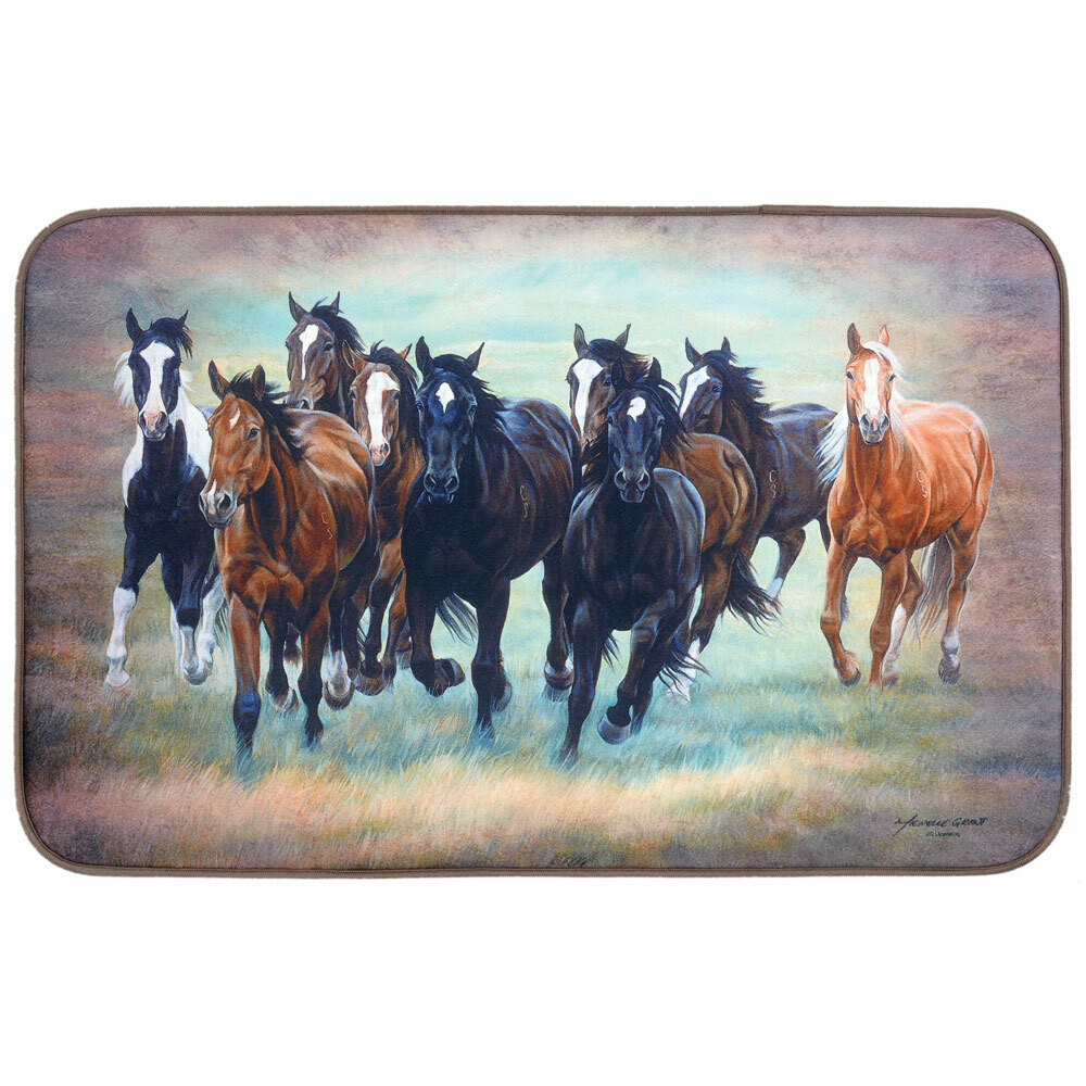Southwestern Kitchen Rugs Lone Star Western Décor