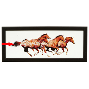 Personalized Free in Spirit Horse Art
