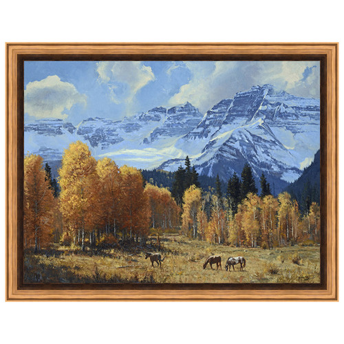 Colorado Framed Canvas