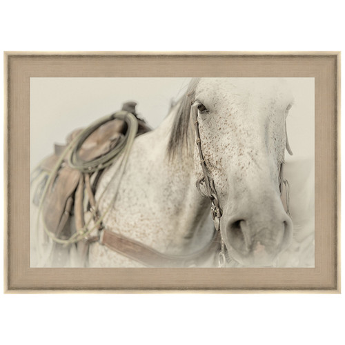 Cow Pony Framed Print