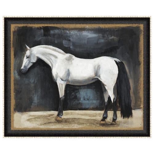 Equestrian Studies VI Framed Print