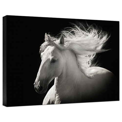 Gray Ghost Gallery Wrapped Canvas