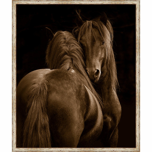 Horse in Love Framed Canvas