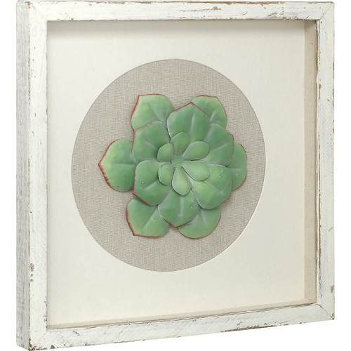 Iron Succulent Shadow Box IV