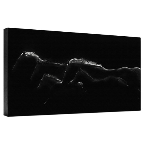 Midnight Runners Gallery Wrapped Canvas