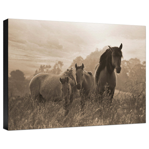 One Spring Morning Gallery Wrapped Canvas