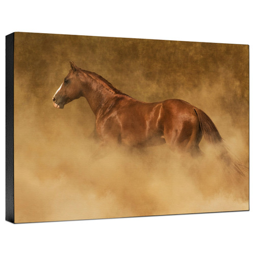 Out of the Dust Gallery Wrapped Canvas