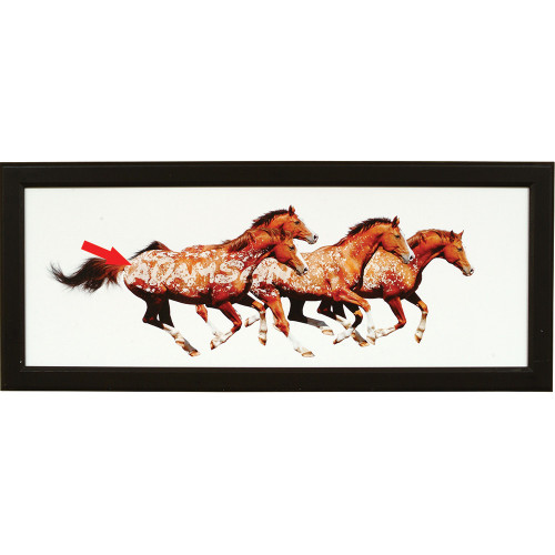 Personalized Free in Spirit Horse Framed Canvas Art