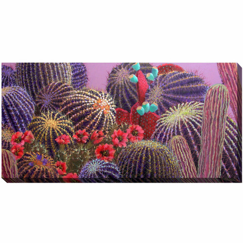 Southwest Botanicals VIII Canvas Art - OUT OF STOCK UNTIL 05/31/2024