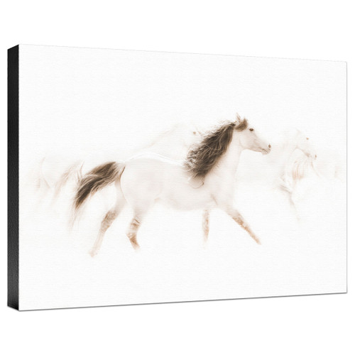 The Mustangs Gallery Wrapped Canvas
