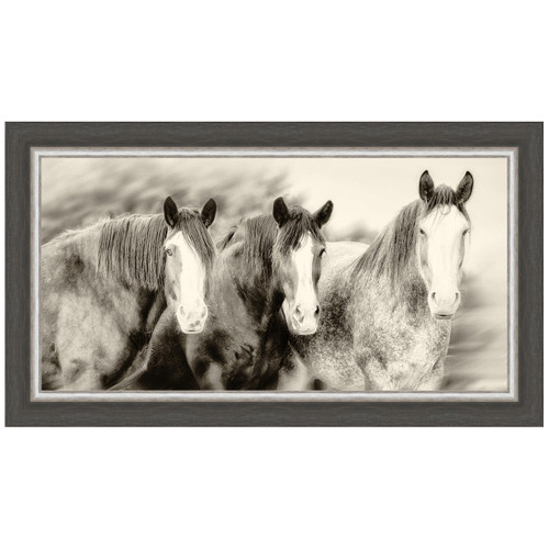 Three Amigos II Horse Framed Print