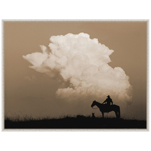 Thunder Framed Canvas