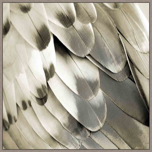 Sonoma Feathers I Wall Art