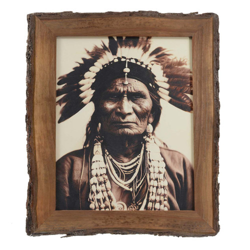 Native Chief Bark Framed Wall Art