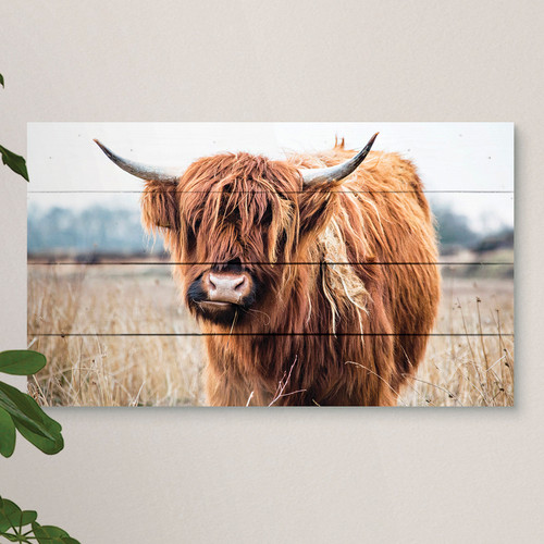 Highland Cow Pallet Wall Hanging