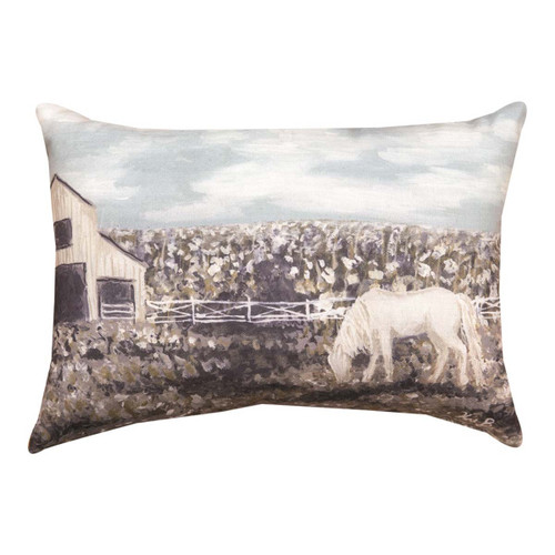 Western clearance outdoor pillows