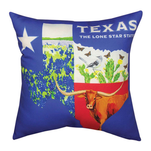 Lone Star State Indoor/Outdoor Pillow