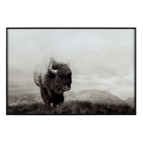 Bison Spirit Wall Art - OUT OF STOCK UNTIL 06/25/2024